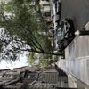 Photo 3: Street