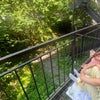 Photo 7: Pretty backyard