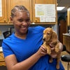 Photo 4: Working in veterinary medicine. 