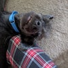 Photograph of Maddi