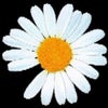 Photograph of DAYANNA
