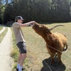 Photo 2: random pictures from my trip to Europe this summer