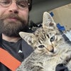 Photo 6: rescued a kitten on the road! found her a good home