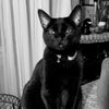 Photo 2: Barb
