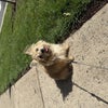 Photograph of Addy
