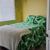 Photo 4: room option 2