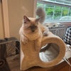 Photo 6: Milo!