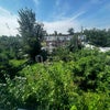 Photo 6: Back yard