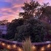 Photo 5: Terrace View