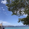Photograph of danna