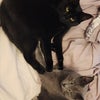 Photo 3: Azula & Gideon