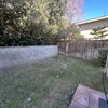 Photo 8: Backyard