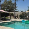 Photo 4: pool and garden 