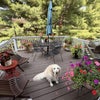 Photo 9: shared porch and friendly dog