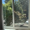 Photo 9: view from bedroom