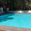 Photo 6: Pool
