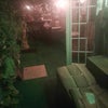 Photo 8: Yard at nite