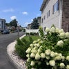 Photo 9: Ample street parking