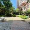 Photo 5: Garden/Patio Area