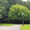 Photo 9: Gorgeous old growth park