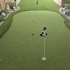 Photo 5: Putting Green
