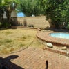 Photo 6: Backyard