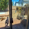 Photo 7: Back patio