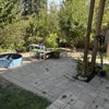 Photo 8: Garden 
