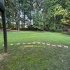 Photo 5: Garden