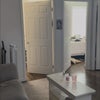 Photo 7: Living room