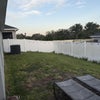 Photo 9: Back Yard