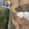 Photo 6: We live in a wooded area so you'll see some Disney creatures roaming around sometimes.