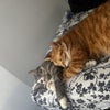 Photo 3: More snuggles