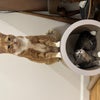 Photo 4: Hierarchy