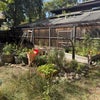 Photo 8: Garden