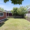 Photo 8: Back yard