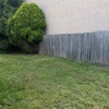 Photo 9: Backyard Shared