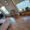 Photo 5: Sun Room