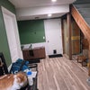 Photo 8: Zero visible litter boxes