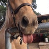 Photo 6: I love taking funny photos of the animals 