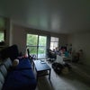 Photo 4: living room