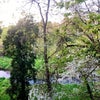 Photo 1: View from balcony