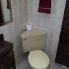 Photo 9: Ground Level Bath