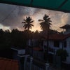 Photograph of Rico