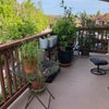 Photo 9: Porch
