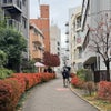 Photograph of pani