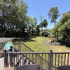 Photo 6: Backyard / Deck