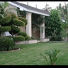 Photo 9: Yard