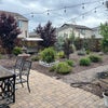 Photo 2: Backyard
