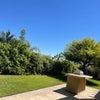 Photo 5: Backyard 